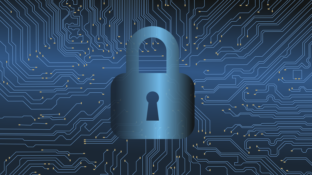 Security Consultation and Risk Assessment